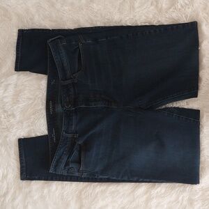 Liverpool The Ankle Skinny Dark Wash